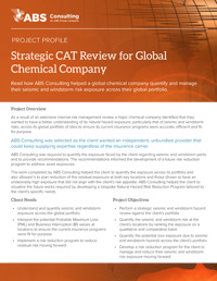 Project Profile: Strategic CAT Review for Global Chemical Company