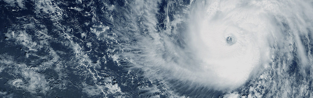 Hurricane Preparedness - Weathering the Storm
